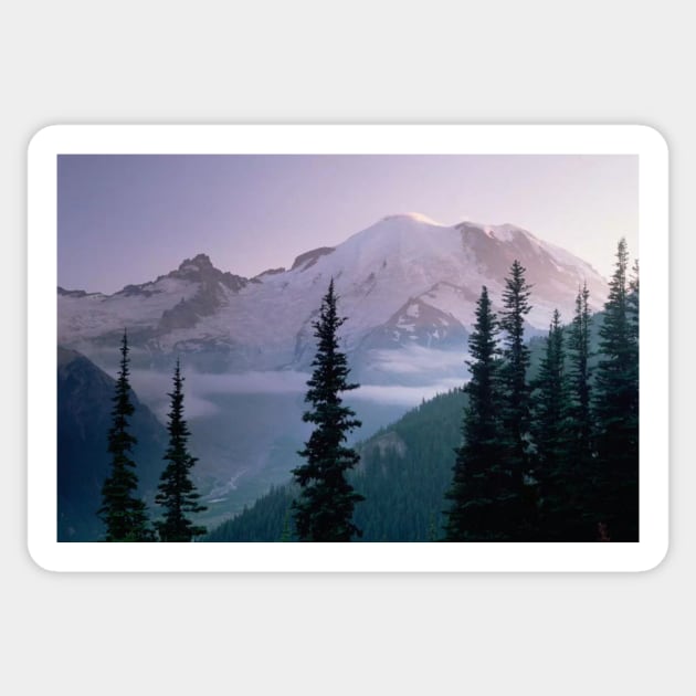 Mt Rainier As Seen At Sunrise Mt Rainier National Park Sticker by RhysDawson